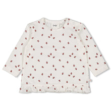 Afbeelding in Gallery-weergave laden, Feetje - Longsleeve AOP - Ladybug