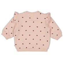 Afbeelding in Gallery-weergave laden, Feetje - Sweater AOP relaxed fit - Ladybug