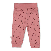 Afbeelding in Gallery-weergave laden, Feetje - Broek ajour rib AOP - Ladybug