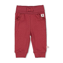 Afbeelding in Gallery-weergave laden, Feetje - Broek - Ladybug