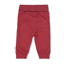 Afbeelding in Gallery-weergave laden, Feetje - Broek - Ladybug