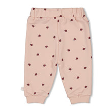 Afbeelding in Gallery-weergave laden, Feetje - Broek AOP - Ladybug