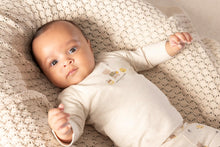 Afbeelding in Gallery-weergave laden, Feetje - Broek AOP - Honey Bear