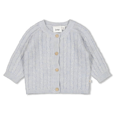 Feetje Vestje gebreid - The Knits