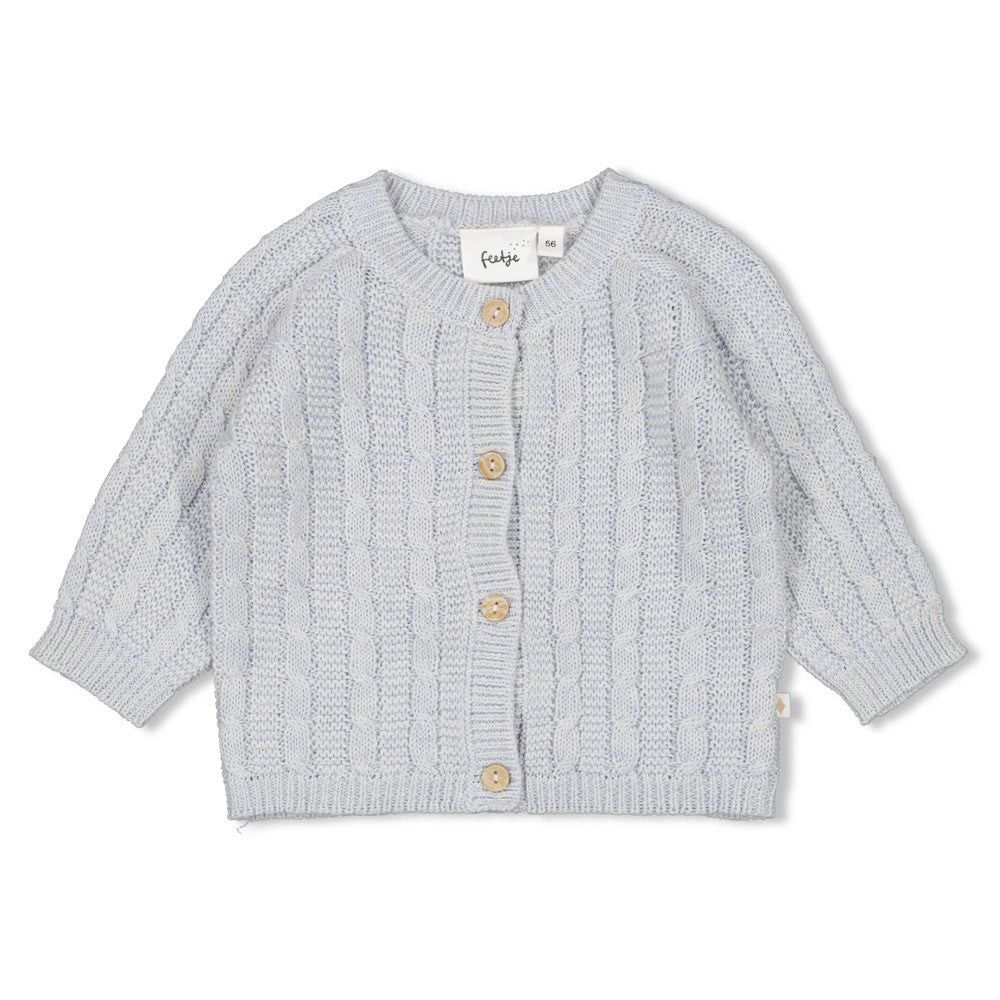 Feetje Vestje gebreid - The Knits