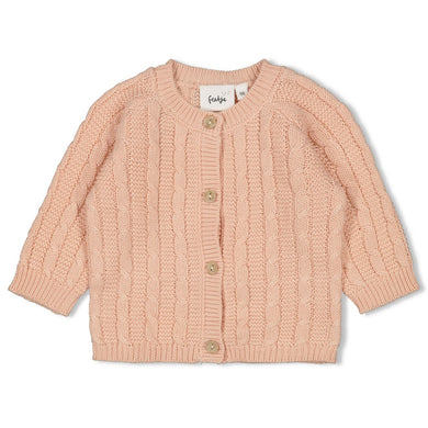 Feetje Vestje gebreid - The Knits