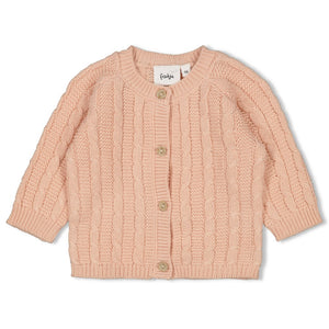 Feetje Vestje gebreid - The Knits