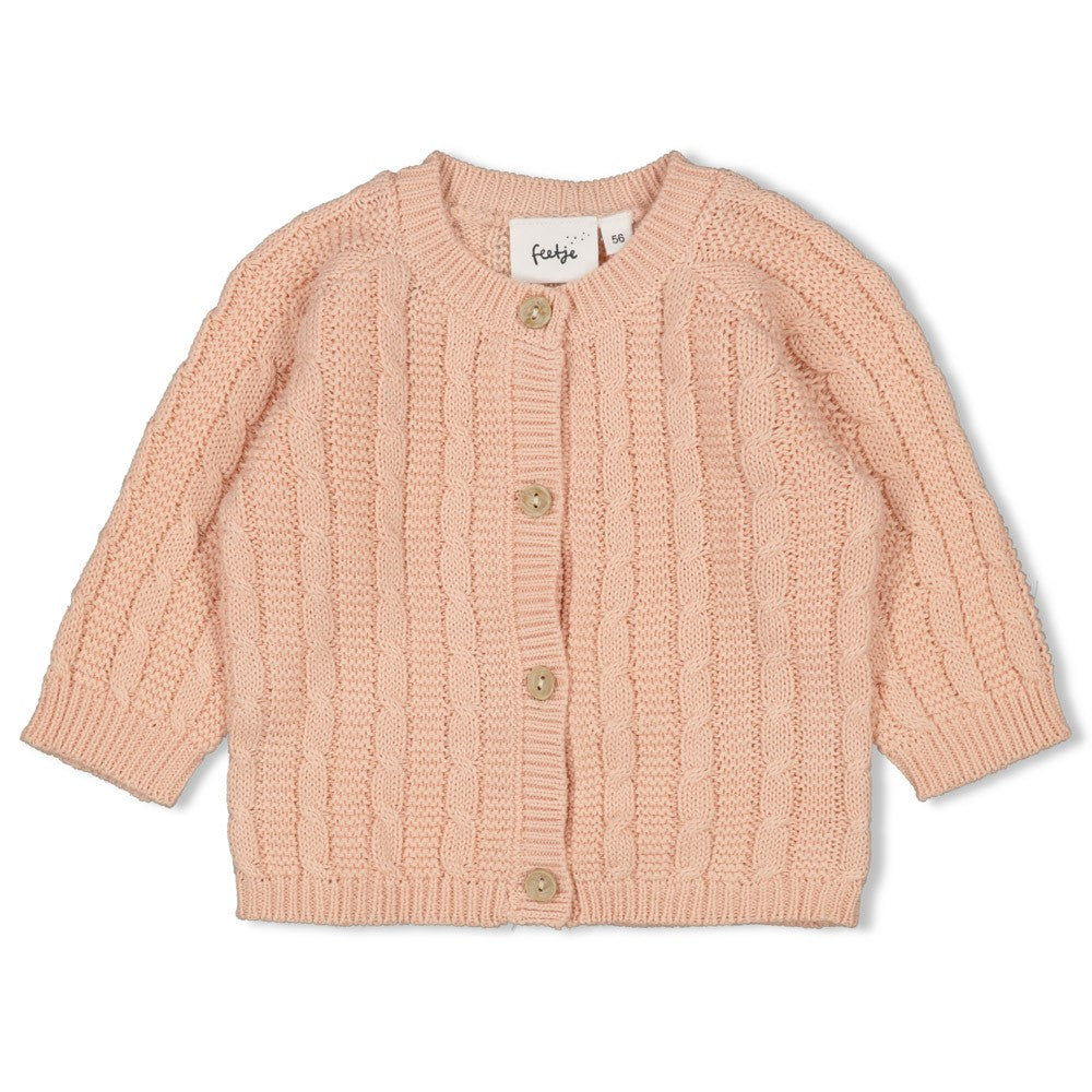 Feetje Vestje gebreid - The Knits