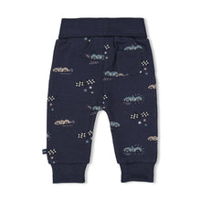 Afbeelding in Gallery-weergave laden, Feetje Broek AOP - Let&#39;s Go!