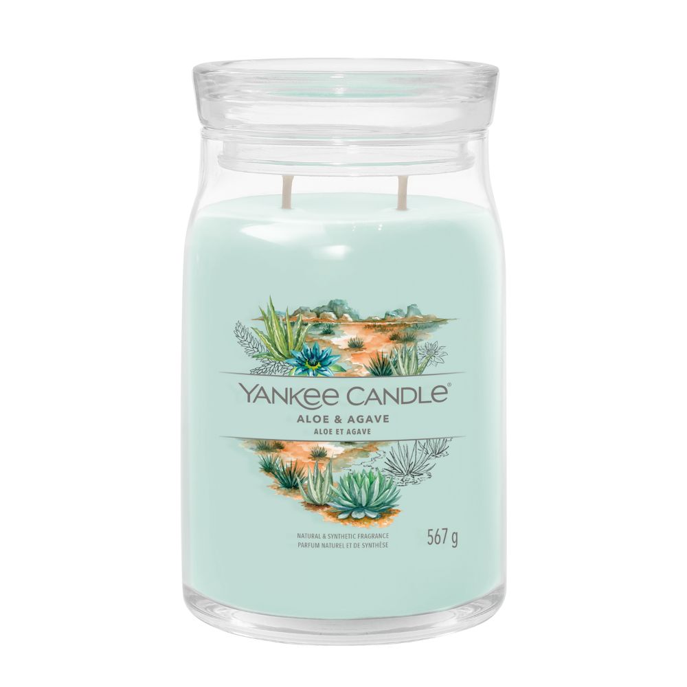 YC Aloe & Agave Signature Large Jar