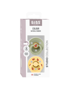 BIBS Studio Colour 2 pack Ladybug Sage Mix