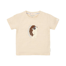 Afbeelding in Gallery-weergave laden, Little Dutch - Toddler boys Summer 26 - T- shirt korte mouw Biscuit melange