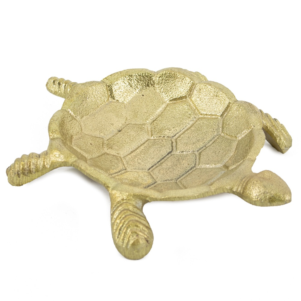 Schaal schildpad goud
