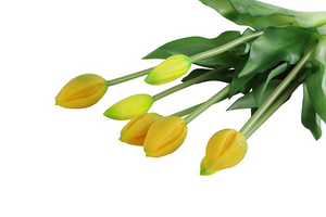 Tulipa boeket geel-L7B7H42CM