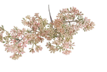 Afbeelding in Gallery-weergave laden, Prunus roze-L17B17H65CM