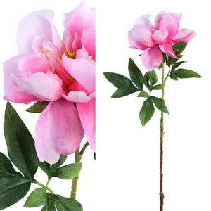 PTMD - peony bloem pink simple 1 bloem large