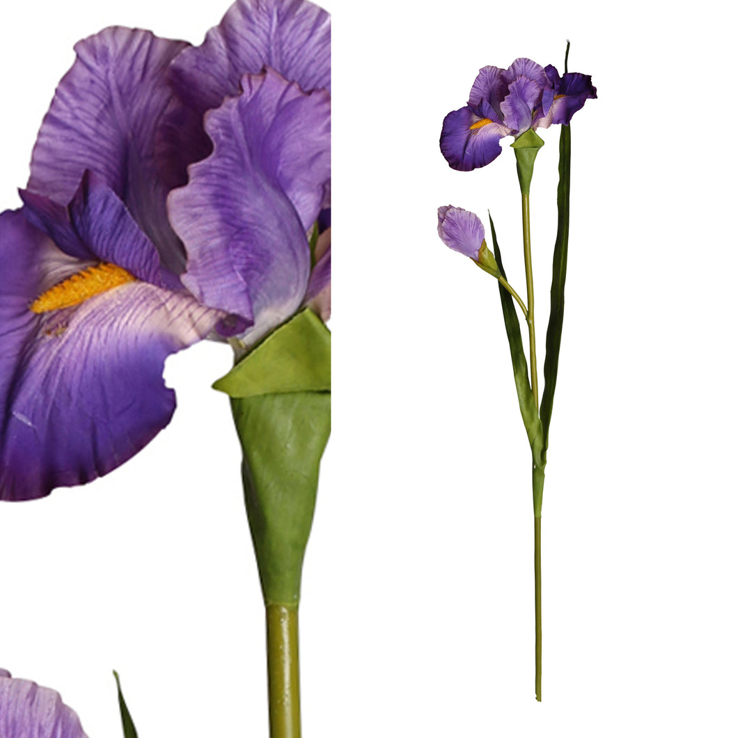 PTMD - Garden Bloem Paars Iris tak