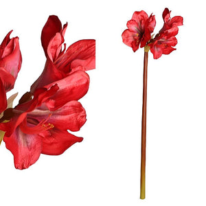 PTMD - Garden bloem red Amaryllis