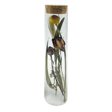 PTMD - Jadine Clear glass tube with dried flowers C