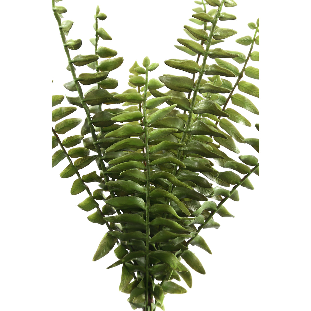 PTMD - Fern Plant groene varen prikker breed S