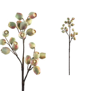 PTMD - Berry Plant lichtroze groene eucalyptus fruit