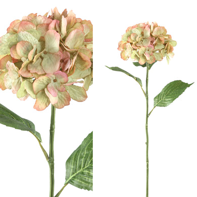 PTMD - Hydrangea Flower pink green hydrangea stem