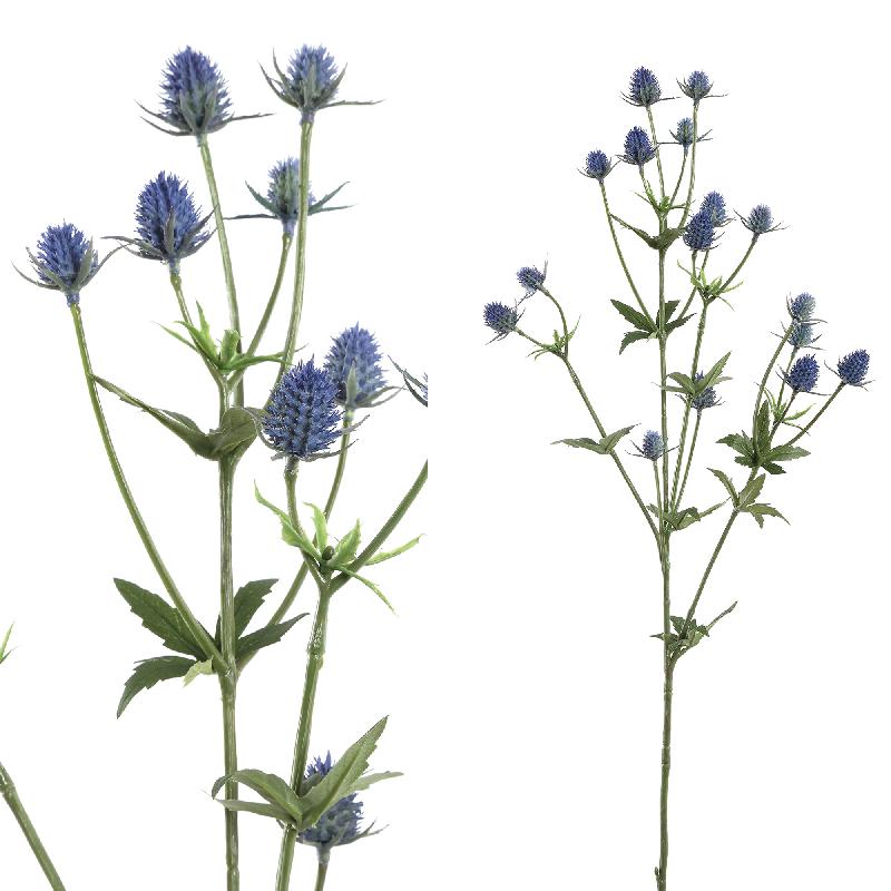 PTMD - Twig Plant blue purple eryngium spray