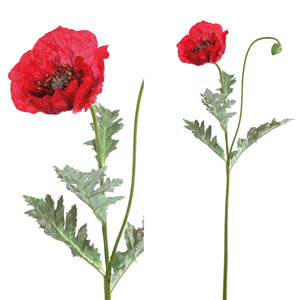 PTMD - Poppy Flower red spray w leaves and bud