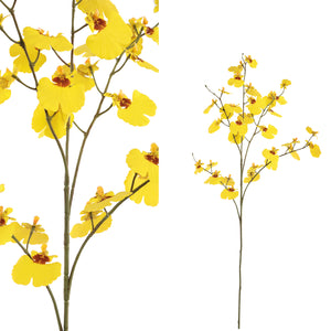 PTMD - Garden Flower yellow oncidium spray