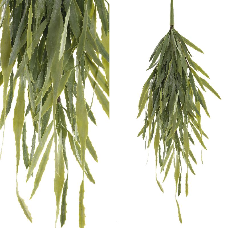 PTMD - Leaves Plant green hanging eucalyptus spray L