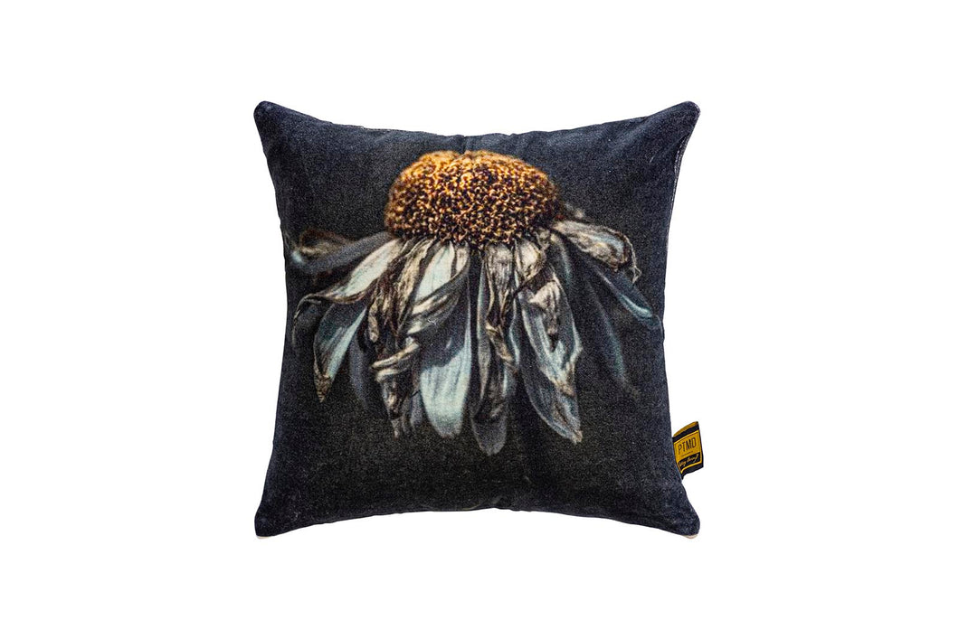 PTMD - Hava Black cotton velvet cushion daisy flower S
