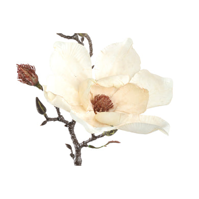 PTMD - Magnolia Flower cream magnolia spray with buds