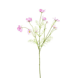 PTMD - Garden Flower pink cosmos spray with buds
