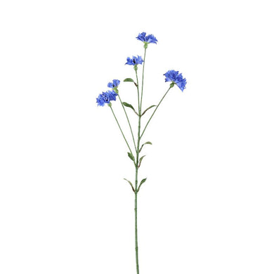 PTMD - Garden Flower dark blue cornflower spray with leaves