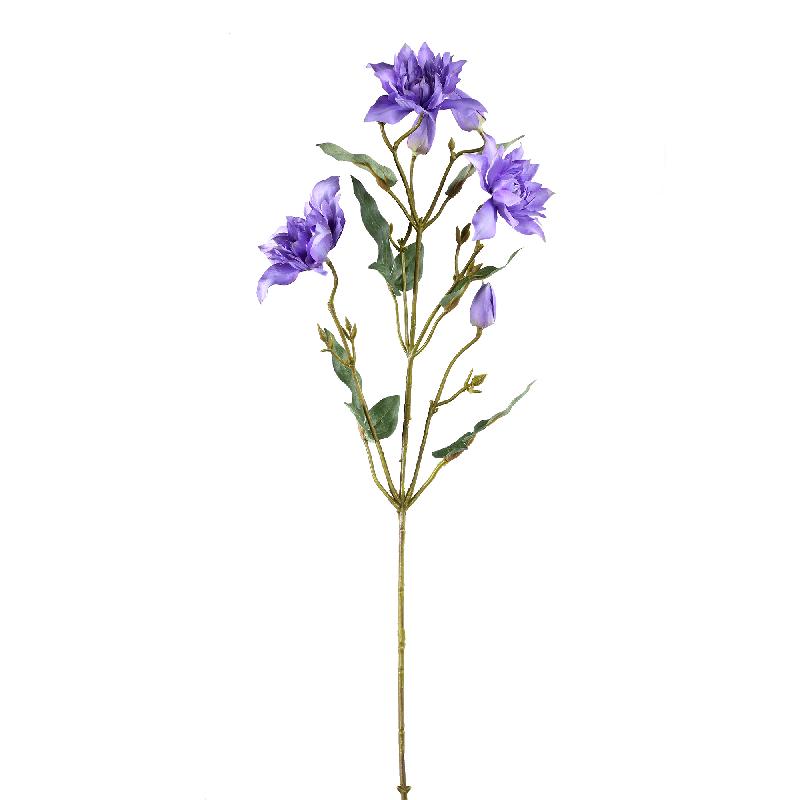 PTMD - Garden Flower purple clemetis spray with buds