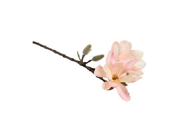 Magnolia Chayca S roze-L8B8H62CM