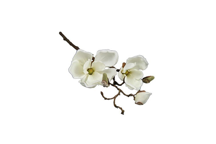 Magnolia Cinthya wit-L48B16H10CM