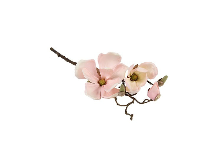 Magnolia Cinthya roze-L48B16H10CM