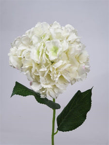 Mansion - White Hydrangea 72cm