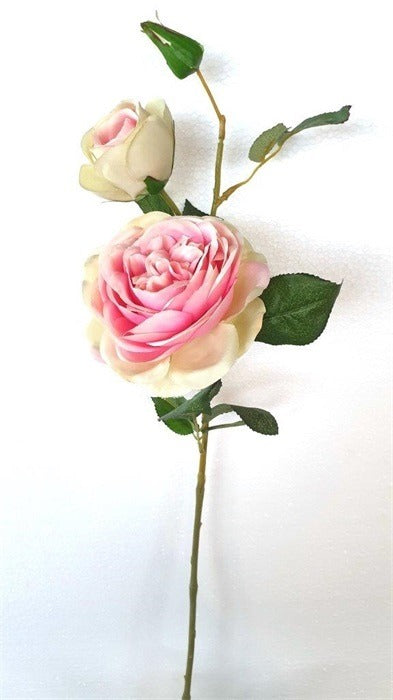 Mansion - Cabbage Rose White Pink 72cm