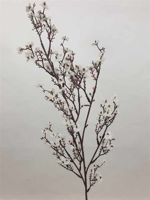 Mansion - White Cherry Blossom 80cm
