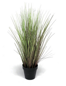 Mansion - Grass plant 58cm