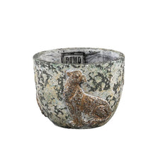 Afbeelding in Gallery-weergave laden, PTMD Norton Grey cement pot tiger round S