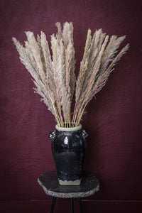 PTMD - Dried Leaves brown natural pampas grass L