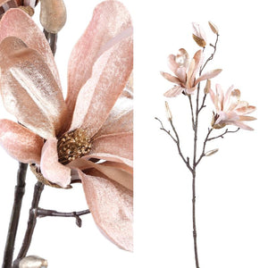 PTMD - Magnolia Flower cream magnolia stem