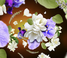 Afbeelding in Gallery-weergave laden, Maison Berger Musk Flowers 500ml